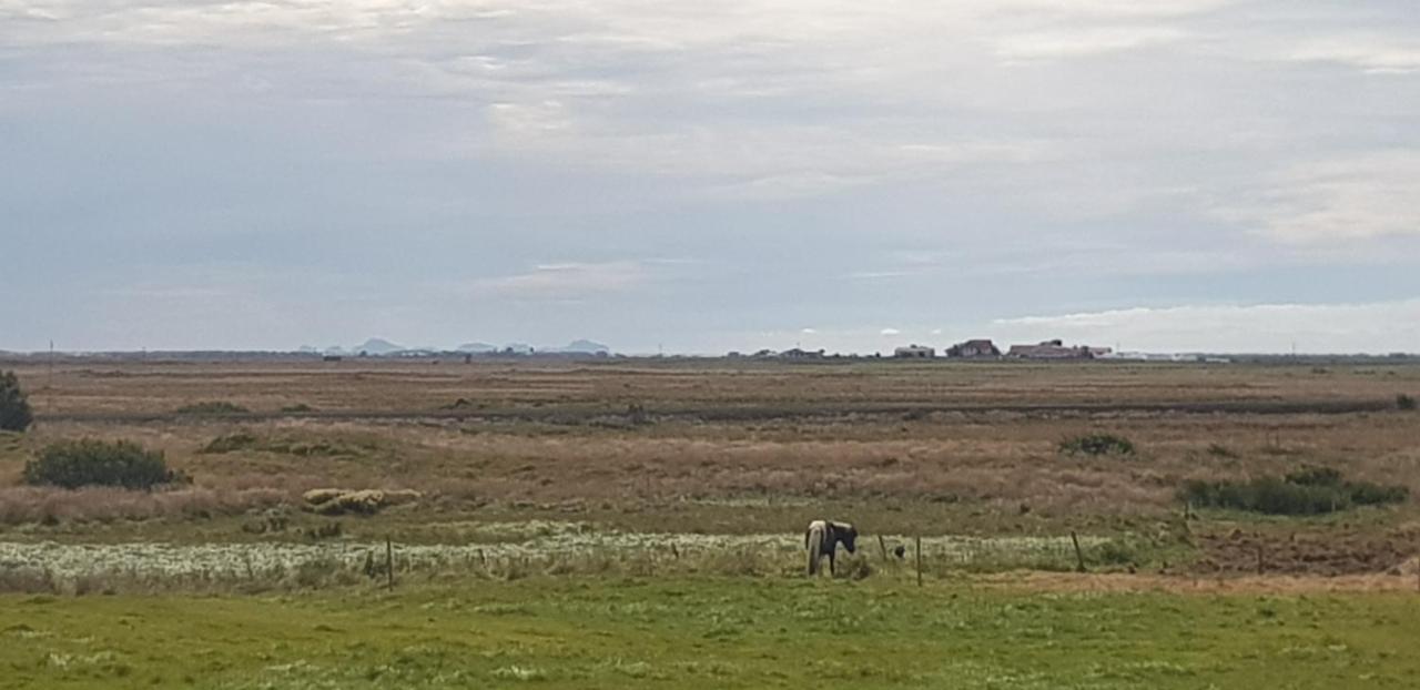 Efri-Gegnisholar Hotel Selfoss Buitenkant foto