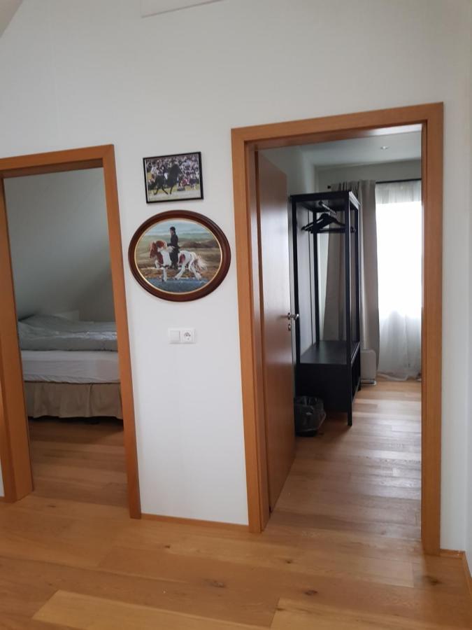 Efri-Gegnisholar Hotel Selfoss Buitenkant foto